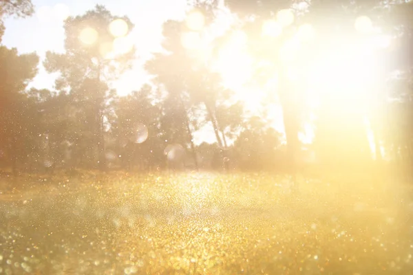 Foto abstrata da explosão de luz entre árvores e glitter bokeh — Fotografia de Stock