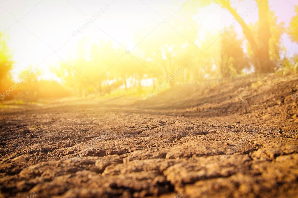 Image of land with dry and cracked ground