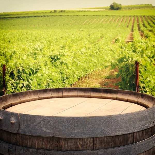 Barril de vinho de carvalho velho na frente da paisagem do quintal do vinho — Fotografia de Stock