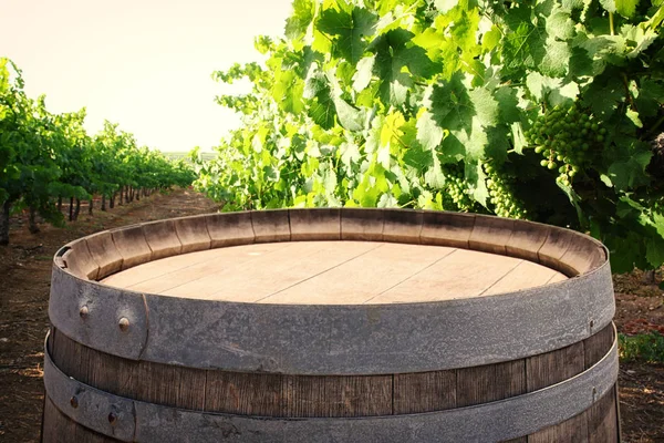 Barril de vinho de carvalho velho na frente da paisagem do quintal do vinho — Fotografia de Stock