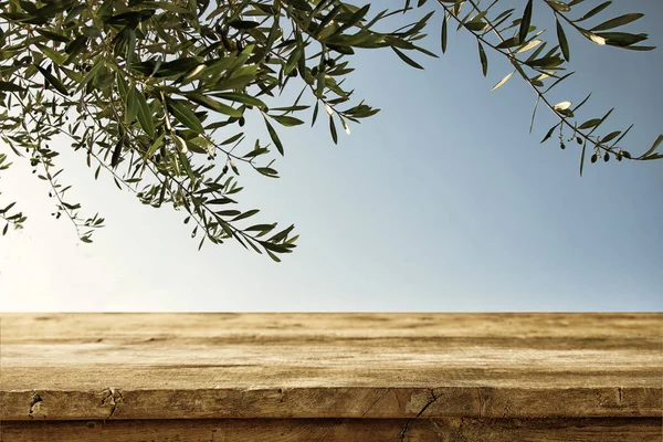 Пустой деревенский стол на фоне оливкового дерева — стоковое фото