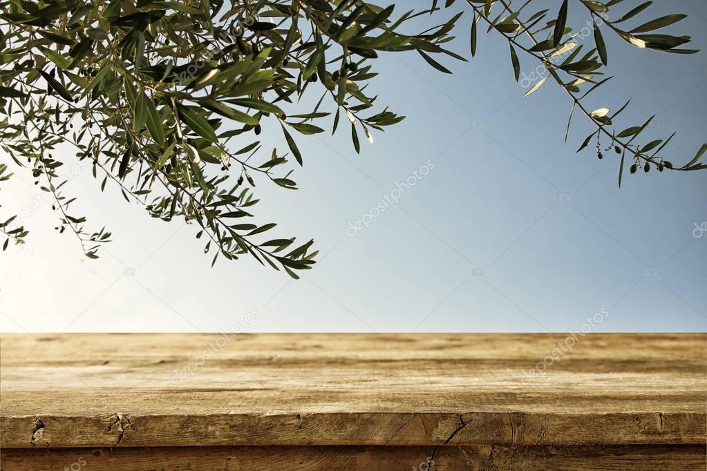 Empty rustic table in front of olive tree background