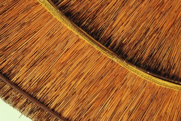 Achtergrond van bamboe parasol. Tropische vakantie Banner — Stockfoto