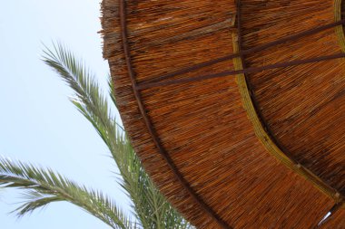 Arka plan bambu plaj şemsiyesi. Tropikal tatil kavramı