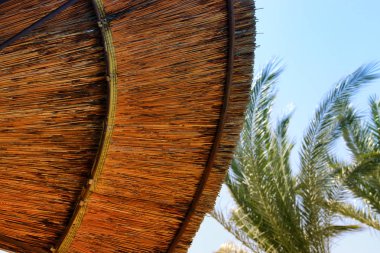 Arka plan bambu plaj şemsiyesi. Tropikal tatil kavramı