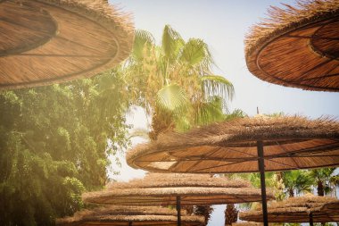 Arka plan bambu plaj şemsiyesi. Tropikal tatil kavramı