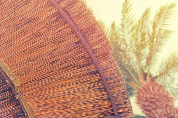 Achtergrond van bamboe parasol. Concept tropische vakantie — Stockfoto