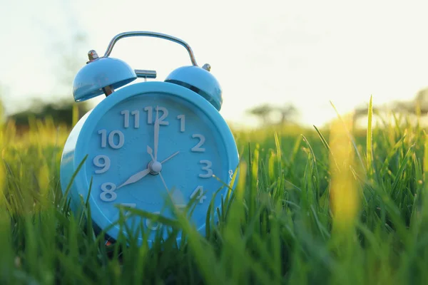 Reloj despertador retro sobre césped verde al aire libre en el parque —  Fotos de Stock