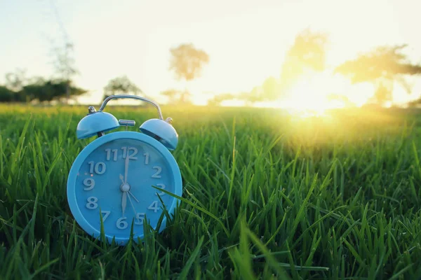 Ретро будильник над зеленой травой в парке — стоковое фото