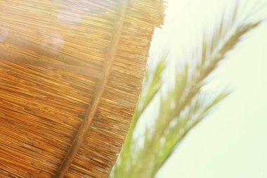 Arka plan bambu plaj şemsiyesi. Tropikal tatil kavramı
