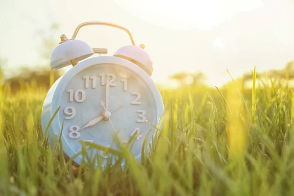 Reloj despertador retro sobre césped verde al aire libre en el parque —  Fotos de Stock