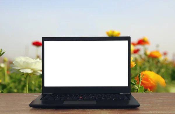 Bild von draußen mit offenem Laptop und leerem weißen Bildschirm für Kopierraum — Stockfoto