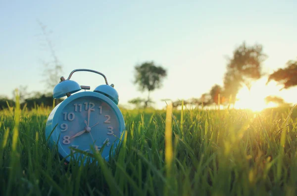 Relógio de alarme retro sobre grama verde ao ar livre no parque — Fotografia de Stock