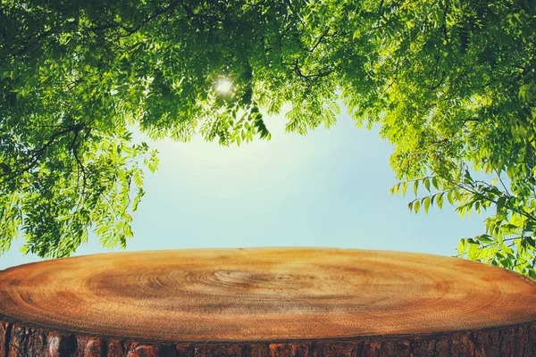 Изображение деревянного стола на фоне зеленых лесов — стоковое фото
