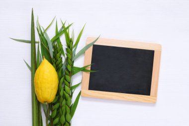 Sukkot Yahudi bayramı. Geleneksel Semboller (dört tür): Etrog, lulav, hadas, arava