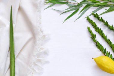 Sukkot Yahudi bayramı. Geleneksel Semboller (dört tür): Etrog, lulav, hadas, arava