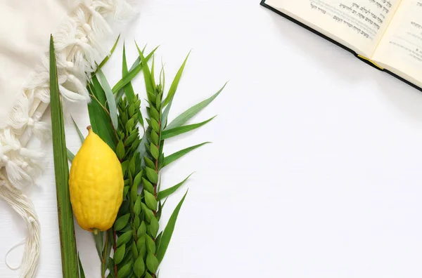 Judisk festival av Sukkot. Traditionella symboler (de fyra arterna): Etrog, lulav, hadas, arava. — Stockfoto