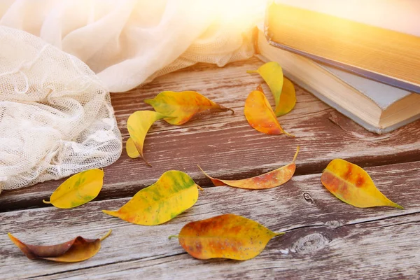 Jemný šátek, knihy a zlaté suché listí na starý dřevěný stůl venkovní v parku — Stock fotografie
