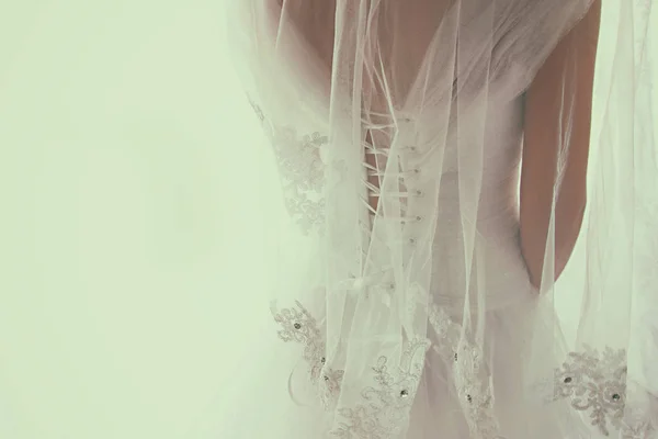 Bella sposa con abito da sposa e velo, da dietro . — Foto Stock