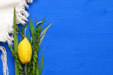 Sukkot Yahudi bayramı. Geleneksel Semboller (dört tür): Etrog, lulav, hadas, arava