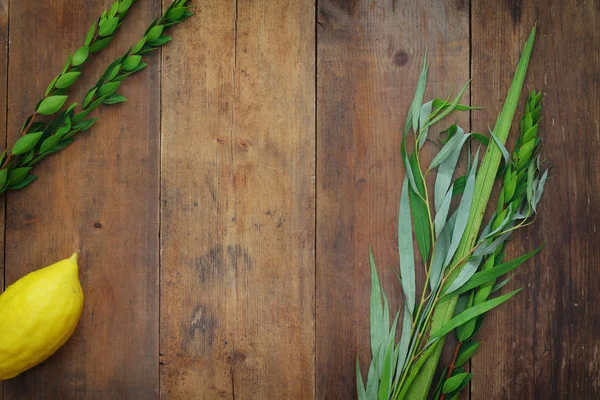 Sukkot Yahudi bayramı. Geleneksel Semboller (dört tür): Etrog, lulav, hadas, arava