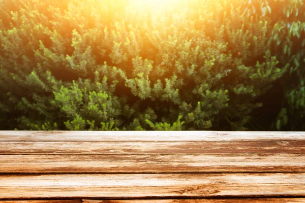 A fából készült asztal első erdei táj, naplemente világos háttér kép — Stock Fotó