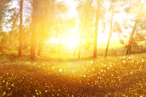 Abstract photo of light burst among trees and glitter bokeh lights. image is blurred and filtered — Stock Photo, Image