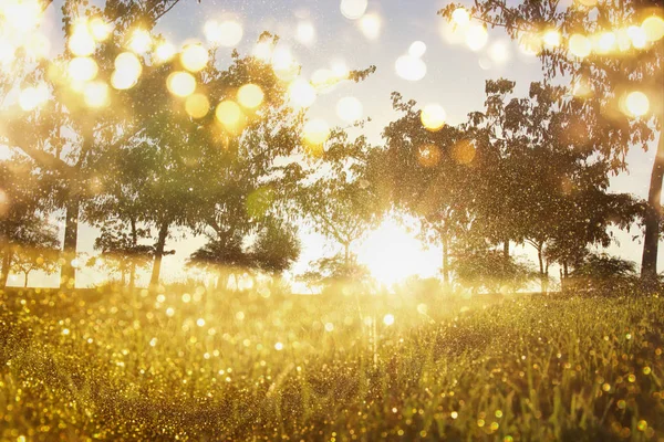 Abstraktes Foto von Licht platzt zwischen Bäumen und glitzernden Bokeh-Lichtern. Bild ist verschwommen und gefiltert — Stockfoto