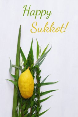 Sukkot Yahudi bayramı. Geleneksel Semboller (dört tür): Etrog, lulav, hadas, arava