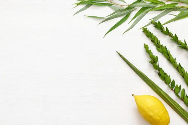 Judisk festival av Sukkot. Traditionella symboler (de fyra arterna): Etrog, lulav, hadas, arava — Stockfoto