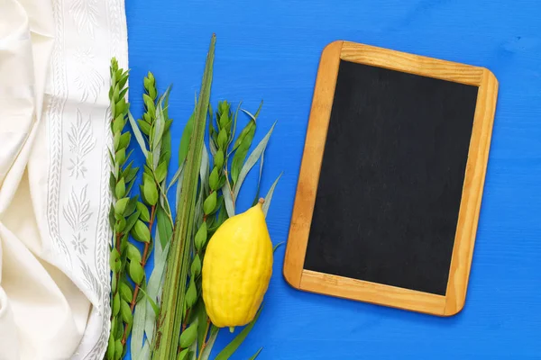 Sukkot Yahudi bayramı. Geleneksel Semboller (dört tür): Etrog, lulav, hadas, arava — Stok fotoğraf