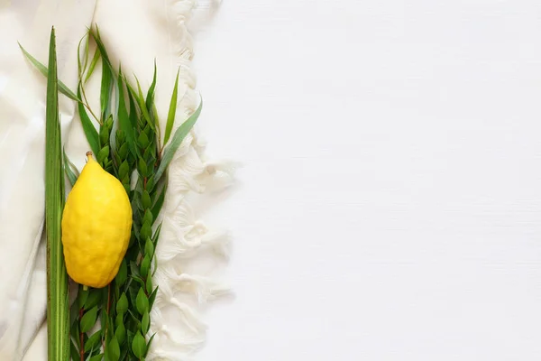 Festival judío de Sukkot. Símbolos tradicionales (Las cuatro especies): Etrog, lulav, hadas, arava . — Foto de Stock