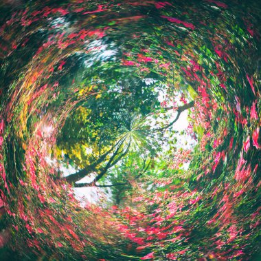 swirled arka plan doğa