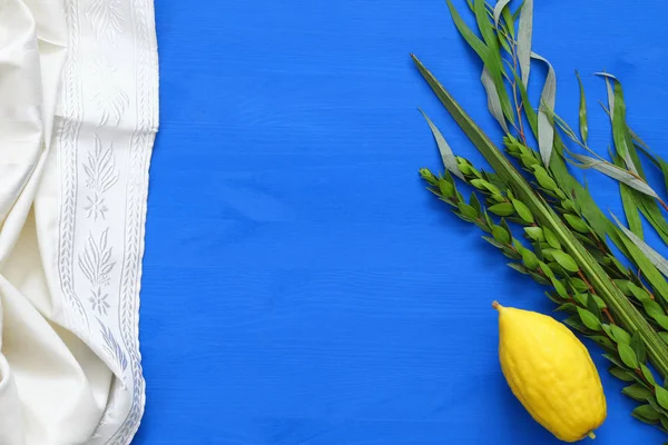 Sukkot Yahudi bayramı. Geleneksel Semboller (dört tür): Etrog, lulav, hadas, arava — Stok fotoğraf