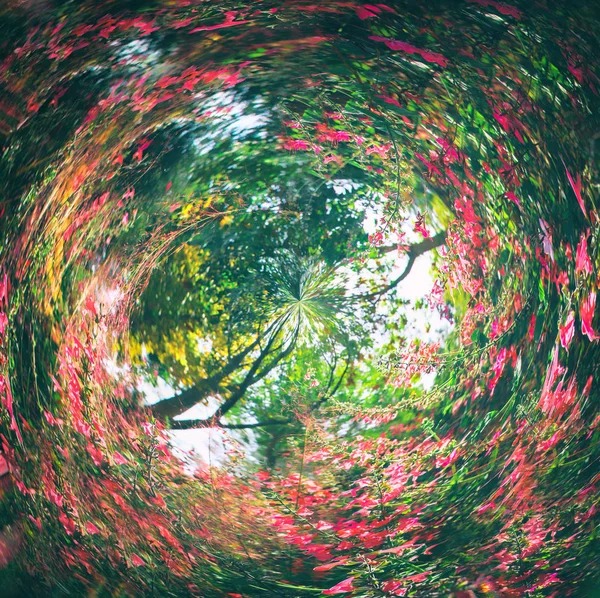 swirled arka plan doğa