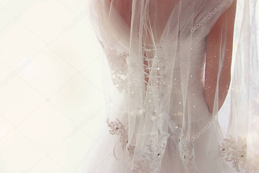 Beautiful bride with wedding dress and veil, from behind.