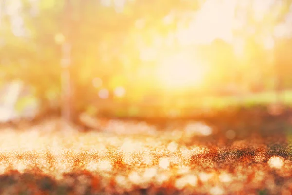 Abstract photo of light burst among trees and glitter bokeh lights. image is blurred and filtered — Stock Photo, Image