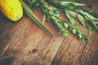 Sukkot Yahudi bayramı. Geleneksel Semboller (dört tür): Etrog, lulav, hadas, arava