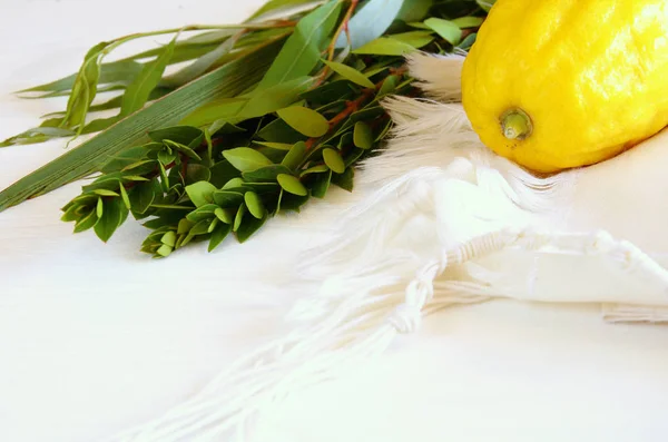 Sukkot Yahudi bayramı. Geleneksel Semboller (dört tür): Etrog, lulav, hadas, arava — Stok fotoğraf