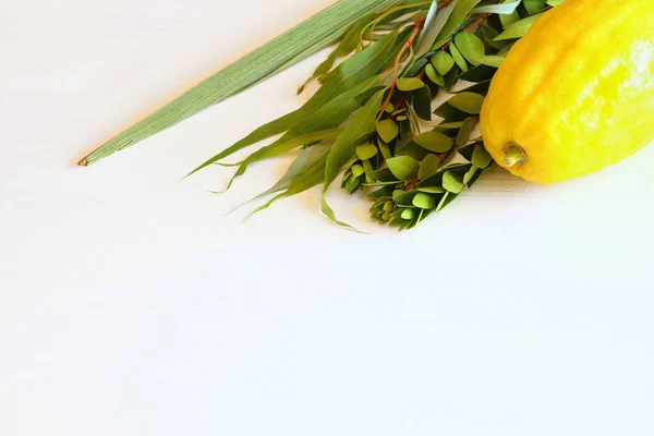 Festa ebraica di Sukkot. Simboli tradizionali (Le quattro specie): Etrog, lulav, hadas, arava — Foto Stock