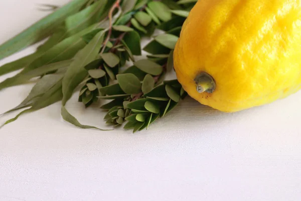 Judisk festival av Sukkot. Traditionella symboler (de fyra arterna): Etrog, lulav, hadas, arava — Stockfoto