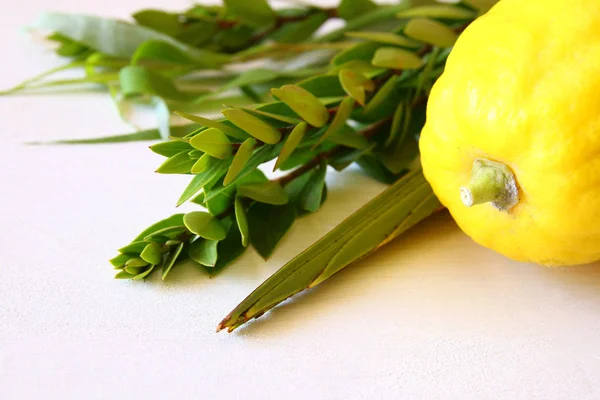 Żydowskie święto Sukkot. Tradycyjne symbole (cztery gatunki): Etrog, lulav, hadas, arava — Zdjęcie stockowe