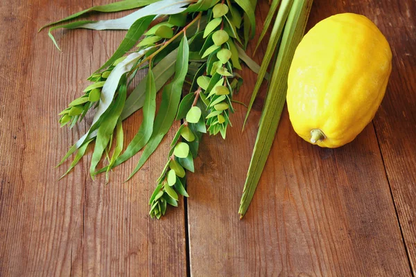 Jüdisches Sukkot-Fest. traditionelle Symbole (die vier Arten): etrog, lulav, hadas, arava — Stockfoto