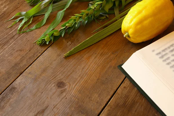 Zsidó fesztivál Sukkot. Hagyományos szimbólumok (a négy faj): Etrog, lulav, a hadas, arava — Stock Fotó