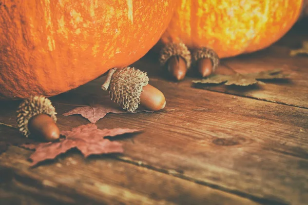 Kabaklar ve sonbahar yaprakları üzerinde ahşap arka plan. Şükran günü ve Cadılar Bayramı kavramı. Üstten Görünüm