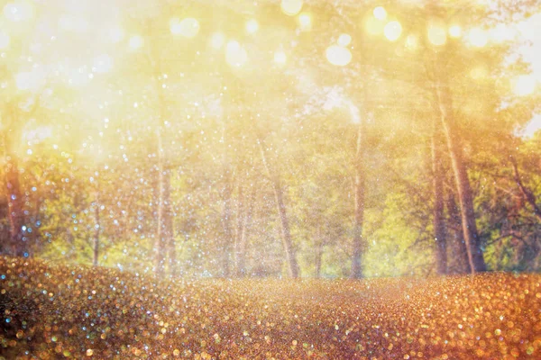 Abstract photo of light burst among trees and glitter bokeh lights. image is blurred and filtered — Stock Photo, Image