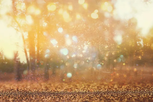Абстрактная фотография света, лопнувшего среди деревьев и огней глиттера. изображение размыто и отфильтровано — стоковое фото