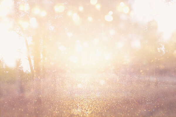 Abstract photo of light burst among trees and glitter bokeh lights. image is blurred and filtered.