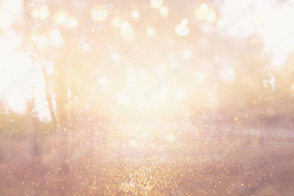 abstract photo of light burst among trees and glitter bokeh lights. image is blurred and filtered
