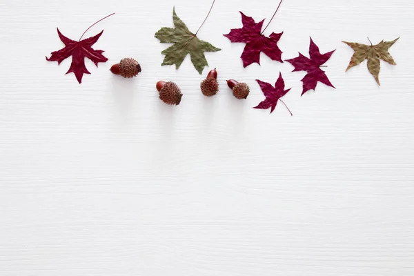 Top view image of autumn leaves over wooden white background. — Stock Photo, Image